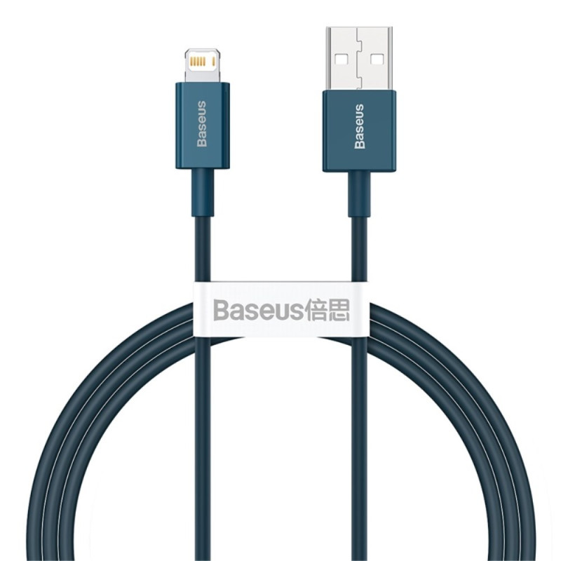 Câble de Chargement Rapide et de Données USB vers iP - 1m