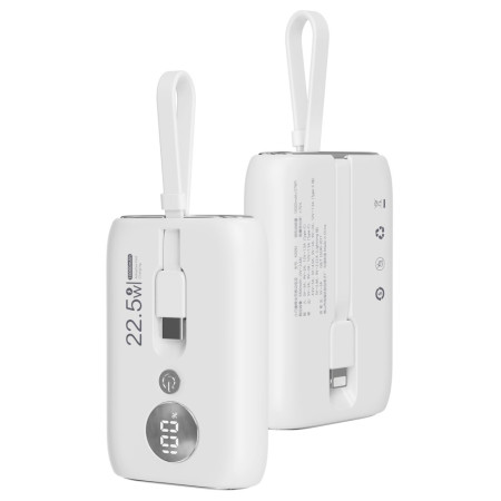 Batterie Externe 10000mAh...