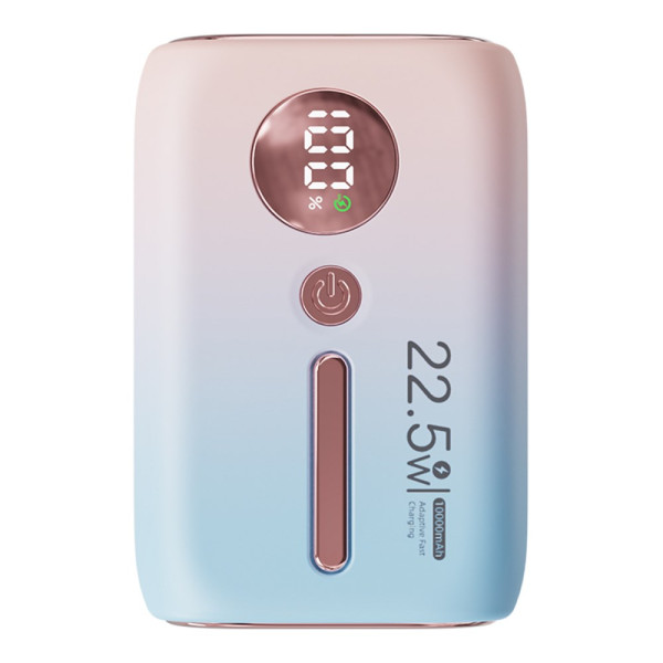 Batterie Externe 10000mAh avec Affichage Digital ROISKIN