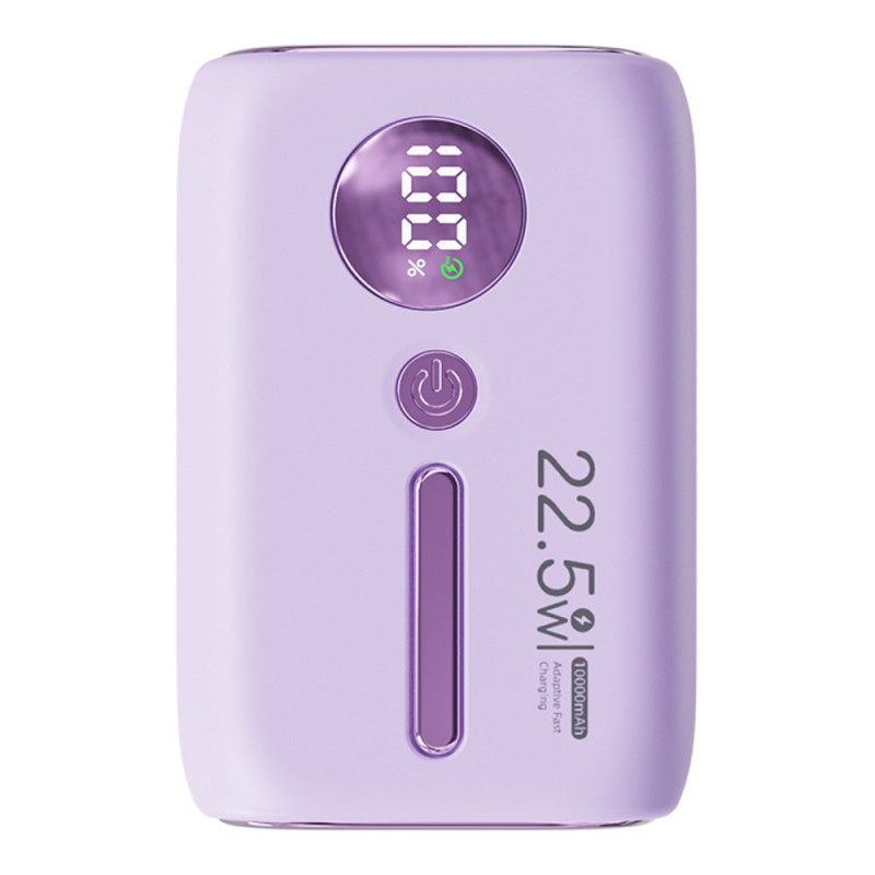 Batterie Externe 10000mAh avec Affichage Digital ROISKIN