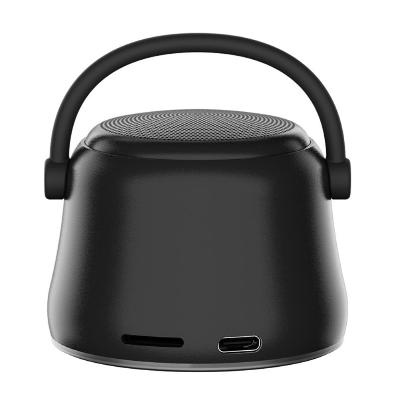 Mini Enceinte Stéréo avec Radiateur de Basses EWA